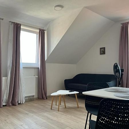 Sabina Apartaments Sfântu-Gheorghe المظهر الخارجي الصورة