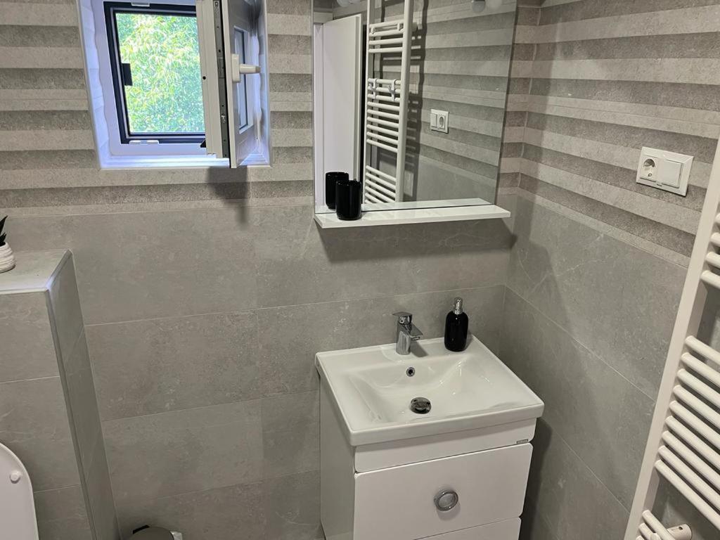 Sabina Apartaments Sfântu-Gheorghe المظهر الخارجي الصورة