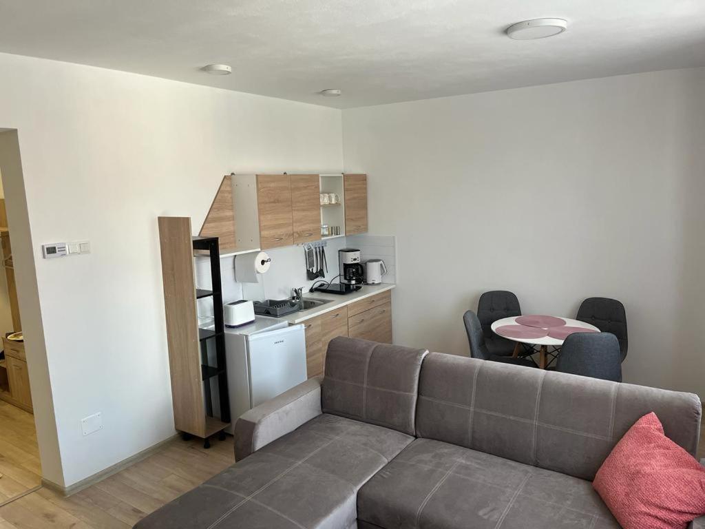 Sabina Apartaments Sfântu-Gheorghe المظهر الخارجي الصورة