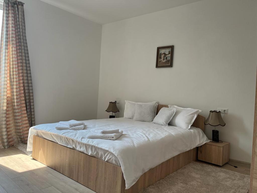 Sabina Apartaments Sfântu-Gheorghe المظهر الخارجي الصورة