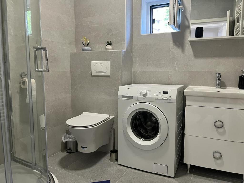 Sabina Apartaments Sfântu-Gheorghe المظهر الخارجي الصورة