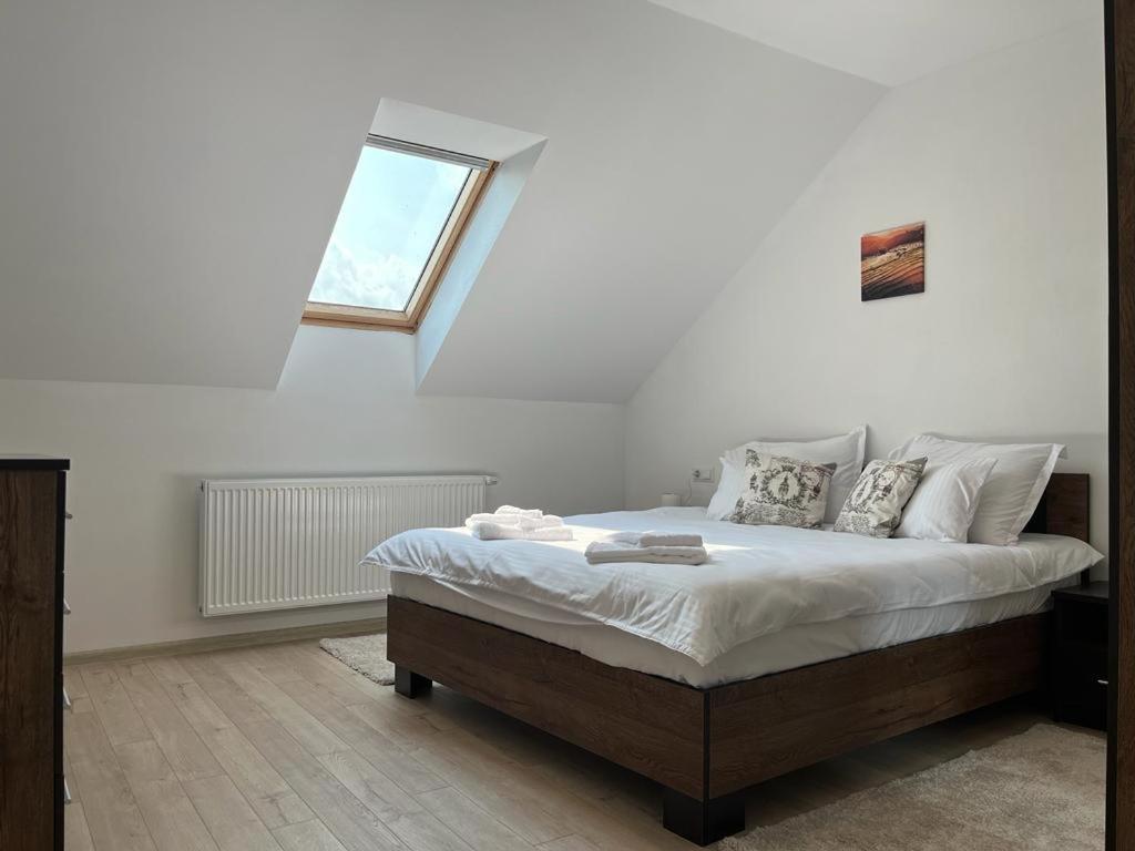 Sabina Apartaments Sfântu-Gheorghe المظهر الخارجي الصورة