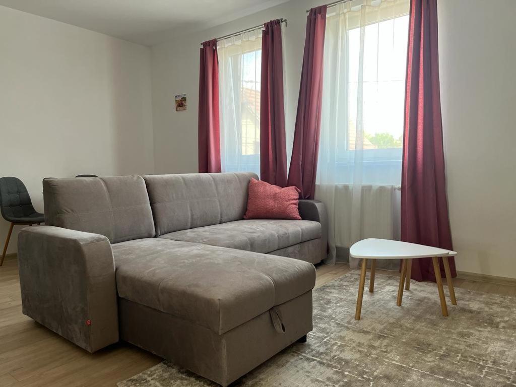 Sabina Apartaments Sfântu-Gheorghe المظهر الخارجي الصورة
