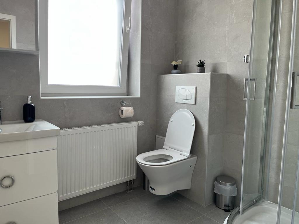 Sabina Apartaments Sfântu-Gheorghe المظهر الخارجي الصورة